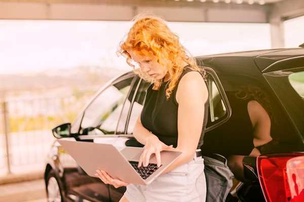 Strategies for Maximizing Bids and Seller Reputation